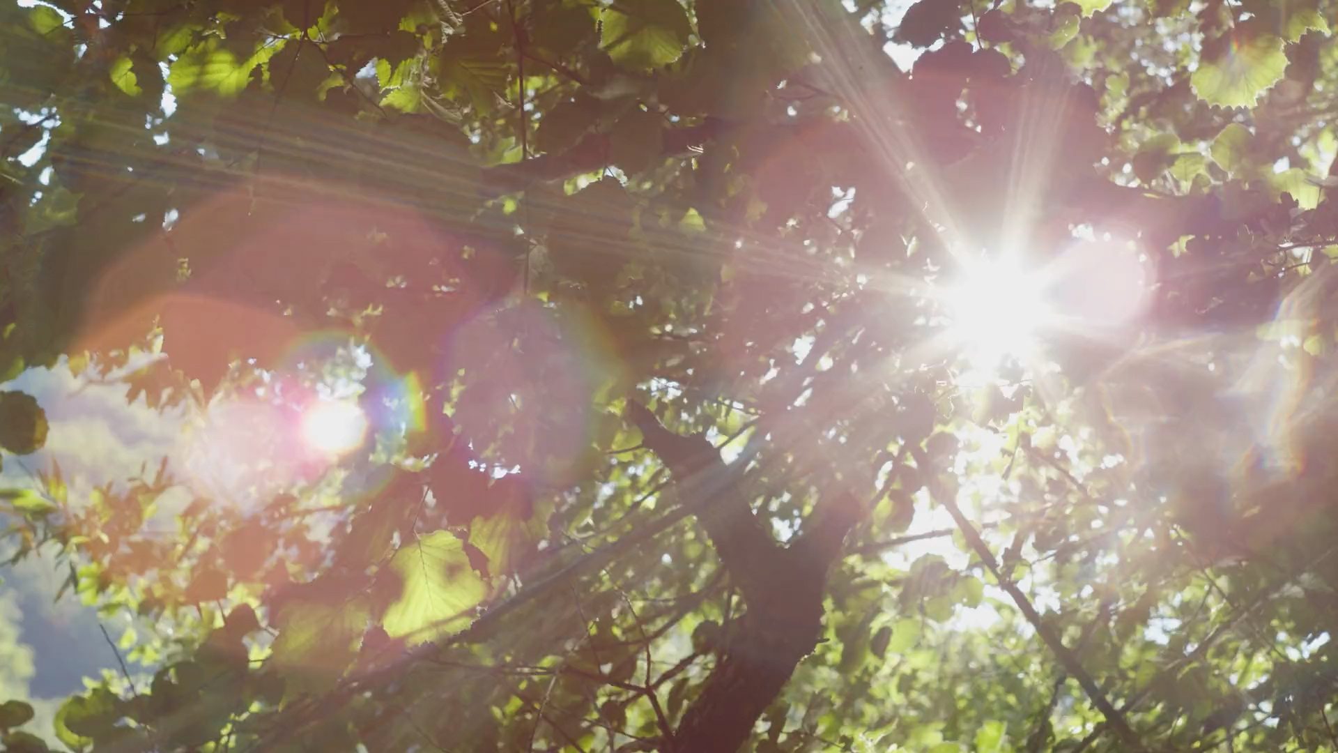 Hero background image of a serene landscape